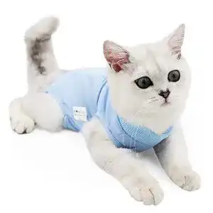 Die beste Katzenbody 2026 Test Bestseller Katzenbody