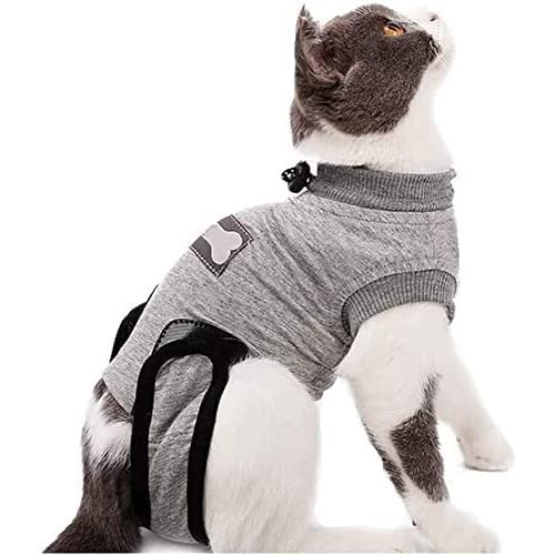 Die beste katzenbody yuhtech cat recovery anzug katzenbekleidung Bestsleller kaufen