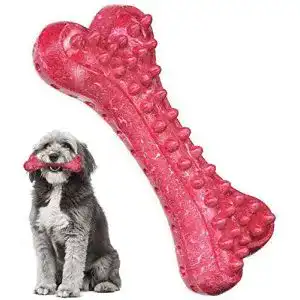 Kauspielzeug Hund
