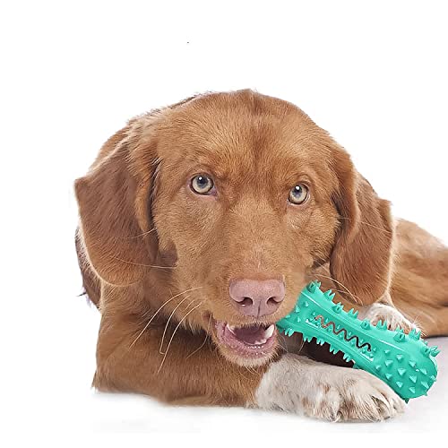 Kauspielzeug Hund Youmics Zahnbürste Hundekauspielzeug