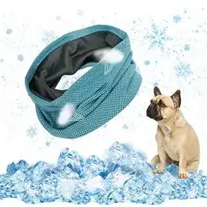 Kühlhalsband Hund
