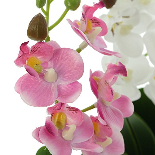 Kunstpflanzen FRANK FLECHTWAREN Deko-Orchidee im Topf 2er