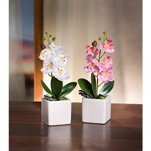 Kunstpflanzen FRANK FLECHTWAREN Deko-Orchidee im Topf 2er