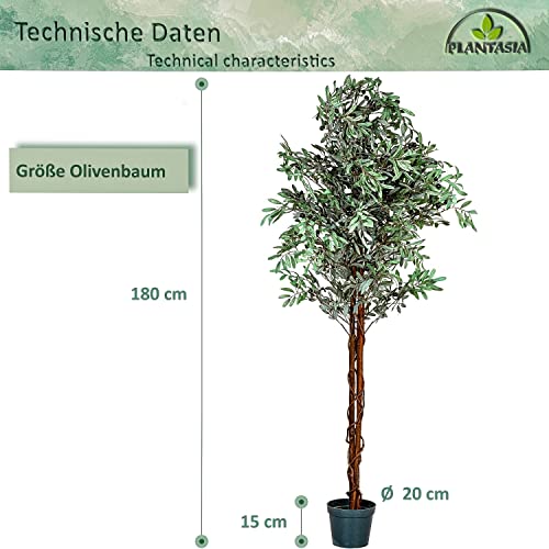 Kunstpflanzen PLANTASIA Künstlicher Olivenbaum 180 cm