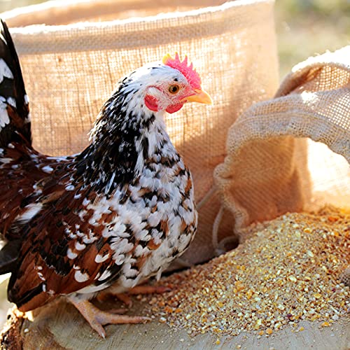 Legemehl WachtelGold ChickenGold Hühnerfutter 10kg