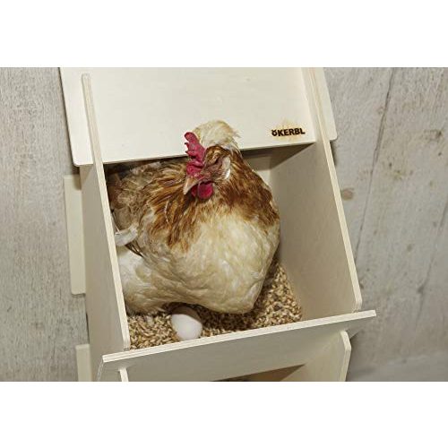 Legenest Kerbl Hühner aus Holz für 10 Hühner, schnelle Montage