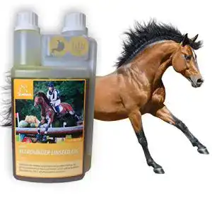 Leinsamen Pferd