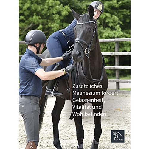 Magnesium Pferd Blue Hors 1,5 kg konzentriertes Magnesium