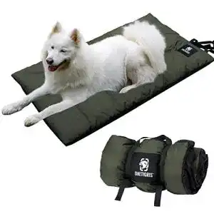 Die beste Hundebett Plüsch 2026 Test Bestseller Hundebett Plüsch