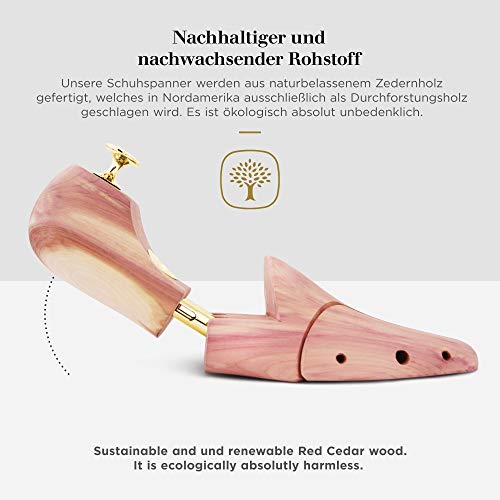 Schuhspanner Zedernholz Schlesinger 1 Paar Modell Kaiser