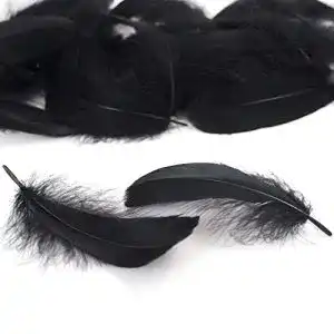 Schwarze Federn LEBENSWERT 400pcs 8-12 cm, Gänsefedern