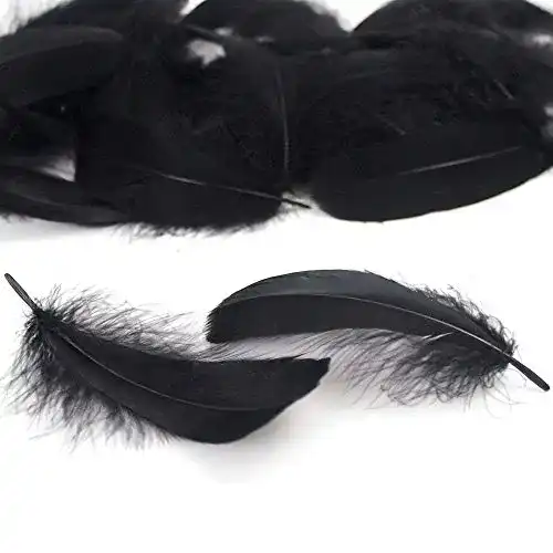 Schwarze Federn LEBENSWERT 400pcs 8-12 cm, Gänsefedern