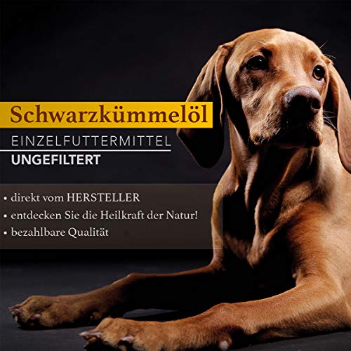 Schwarzkümmelöl Hund Naturzade, für Pferde & Hunde, 1 Liter