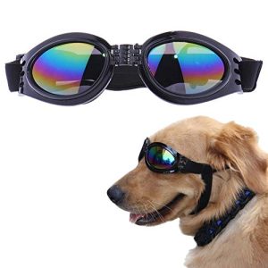 Sonnenbrille Hund EROSPA ® Sonnenbrille Schwimmbrille