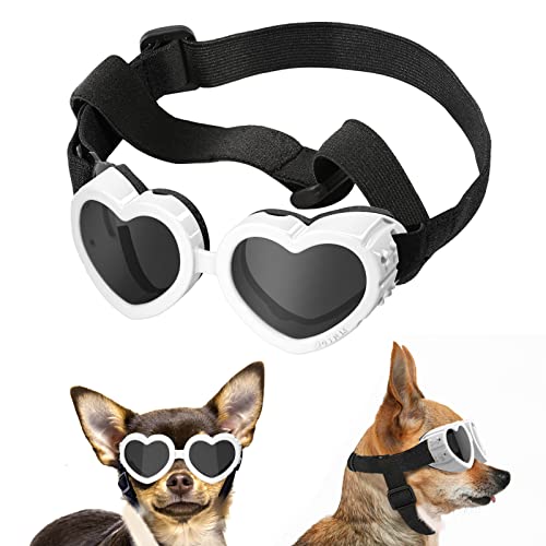 Die beste sonnenbrille hund lewondr fuer kleine hunde uv schutzbrille Bestsleller kaufen