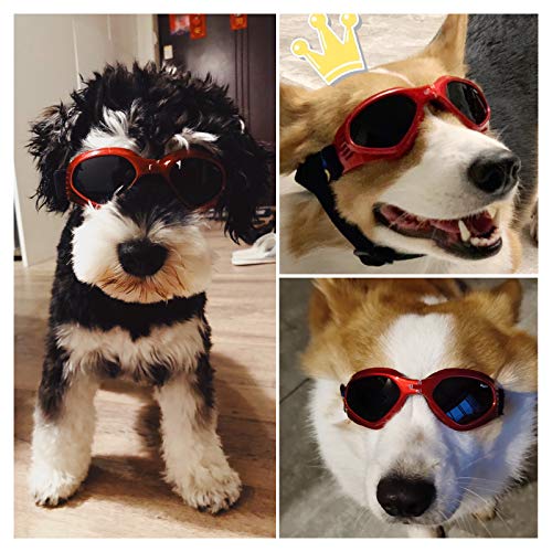 Sonnenbrille Hund PEDOMUS Verstellbarer Riemen, rot