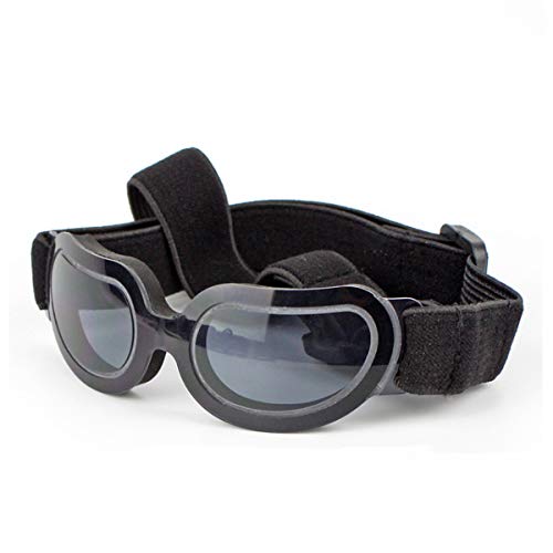 Die beste sonnenbrille hund petcute hund brille sonnenbrille wasserdicht Bestsleller kaufen