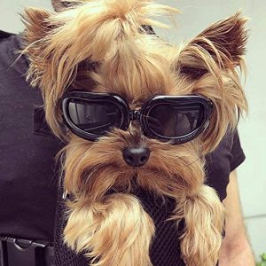 Sonnenbrille Hund PETLESO Hunde ebrille Wasserdicht Anti-UV