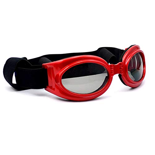 Sonnenbrille Hund Vivi Bear, UV-Schutzbrille Fashion Cool Pet Dog