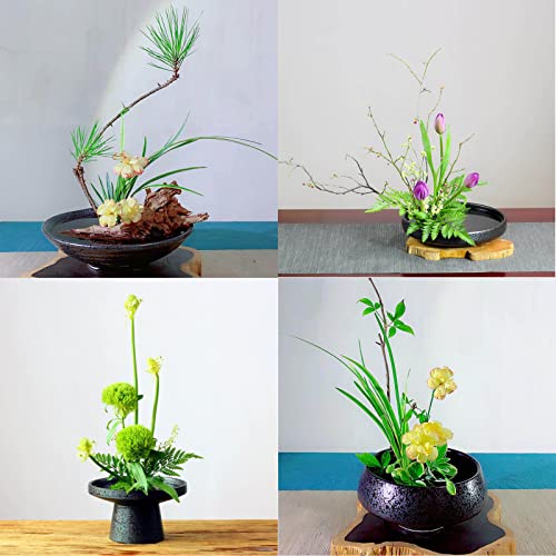 Steckigel KangBaz Flower Frog, Ikebana für Blumen Kenzan Set