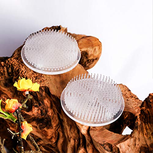 Steckigel WANDIC Blumen-Frosch, 2 Stück, rund, transparent
