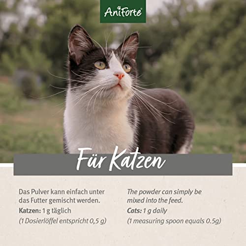 Taurin für Katzen AniForte 4in1 Complete Cat 60g