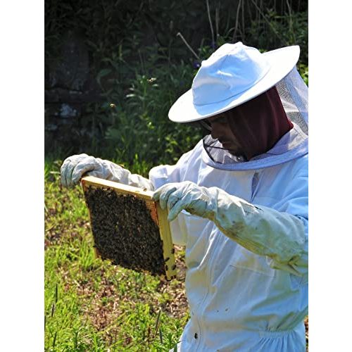 Teelichter Bienenwachs AMA-Feinkost 60 St. Teelichter