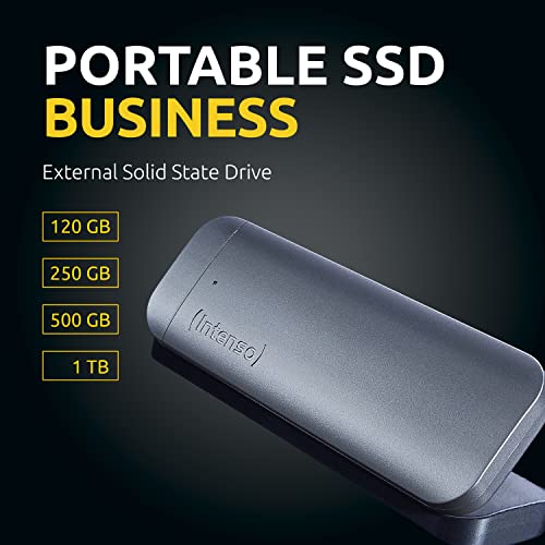 USB-Stick (1 TB) Intenso 3824460 Externe SSD Business, 1TB