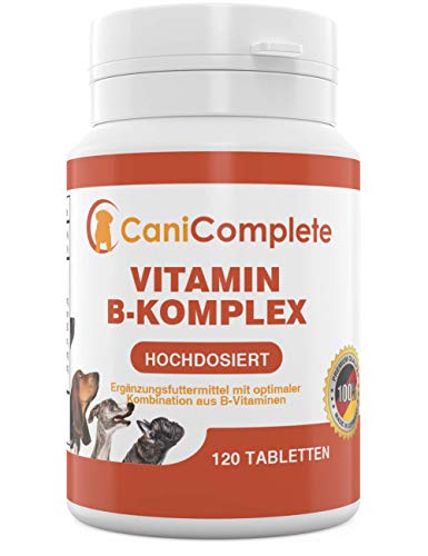 Die beste vitamin b komplex hund canicomplete 120 stueck Bestsleller kaufen