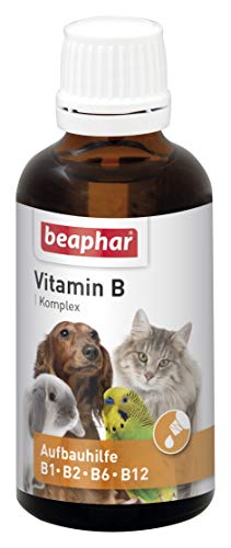 Die beste vitamine fuer katzen beaphar vitamin b komplex tropfen 50 ml Bestsleller kaufen
