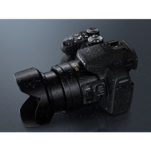 Vlog-Kamera Panasonic LUMIX DMC-FZ300EGK, 12 Megapixel