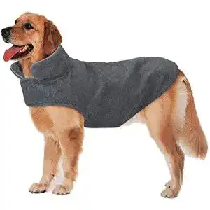 Die beste Wintermantel Hund 2026 Test Bestseller Wintermantel Hund