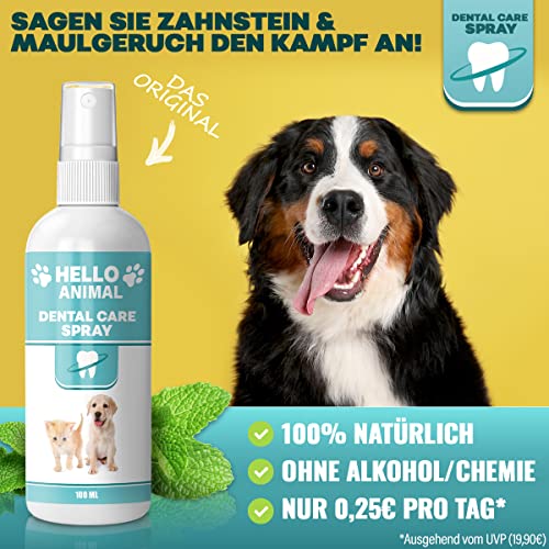 Zahnpflege Katze Hello Animal NEU: HelloAnimal® DENTAL Spray