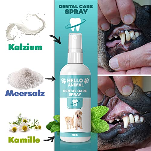 Zahnpflege Katze Hello Animal NEU: HelloAnimal® DENTAL Spray