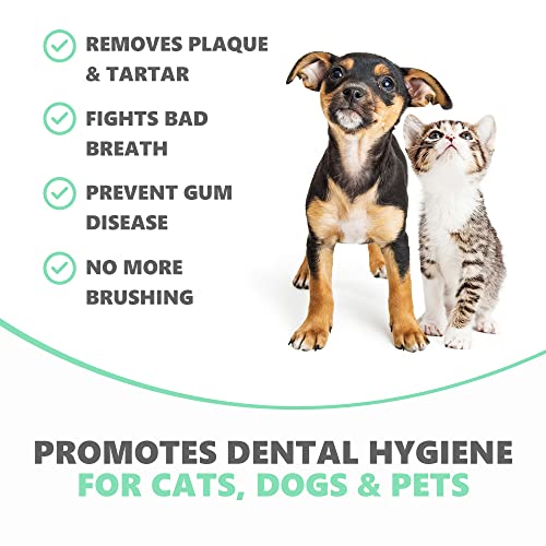 Zahnpflege Katze Pets Purest Plaque Pro Pulver, 180g