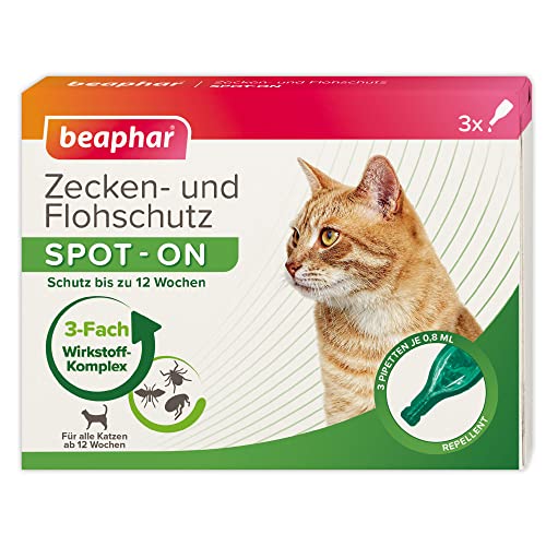Zeckenschutz Katze beaphar Zecken- und Flohschutz Spot On, 3x