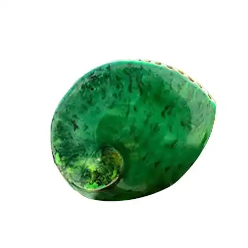 Abalone-Muschel BOWTONG 13-15cm Grüne Abalone Muschel Große