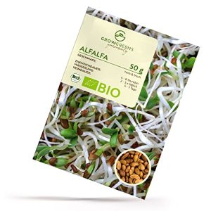 Alfalfasprossen growgreens BIO Alfalfa Sprossen Samen 50g