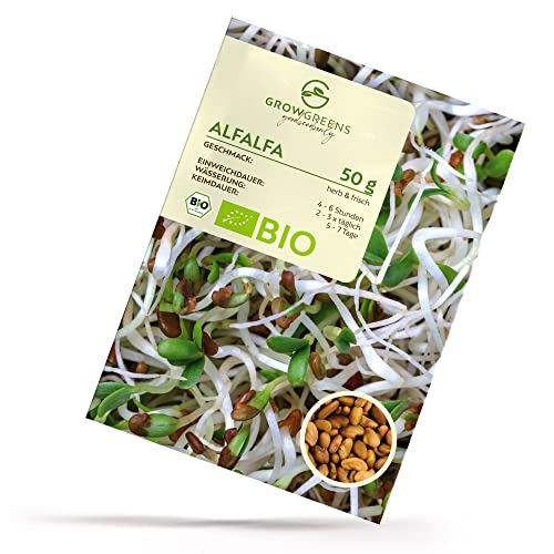 Die beste alfalfasprossen growgreens bio alfalfa sprossen samen 50g Bestsleller kaufen