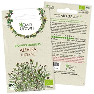 Alfalfasprossen OwnGrown Microgreens Samen Alfalfa: 900 Bio Alfalfa