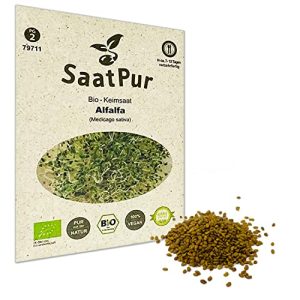 Alfalfasprossen SaatPur Bio Keimsprossen – Keimsaat für Alfalfa