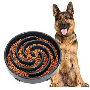 Anti-Schling-Napf Hund WERFORU Langsame Fütterung Hundenapf