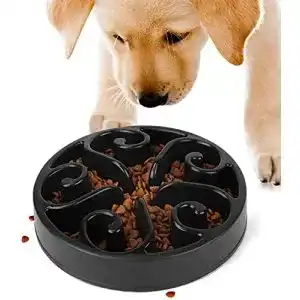 Die beste Anti-Schling-Napf Hund 2026 Test Bestseller Anti-Schling-Napf Hund