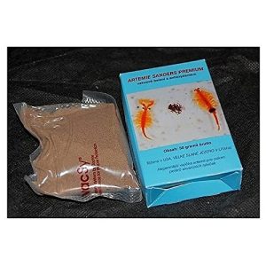 Artemia-Eier Aquaristik CSI Artemia Eier Sanders Premium 90-95%