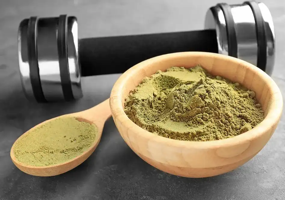 Hanfprotein Hanfprotein
