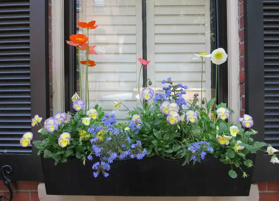 Blumenkasten