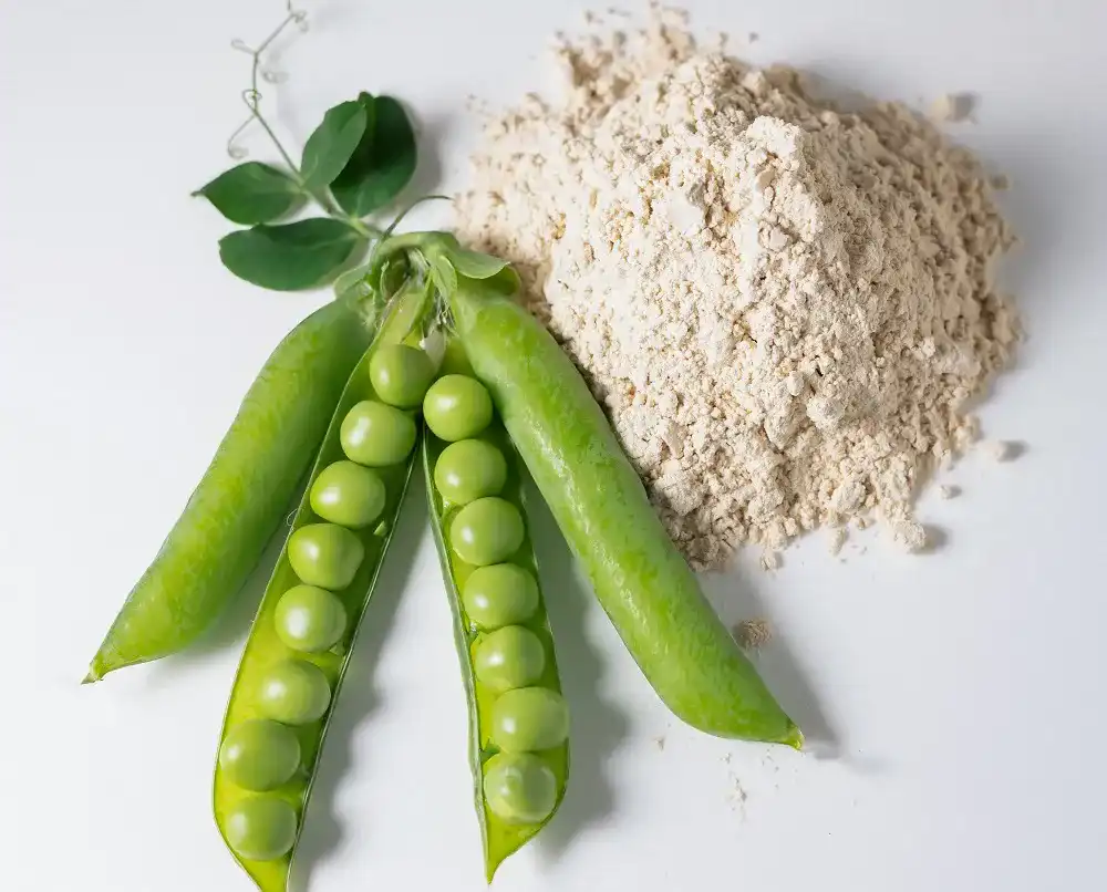 Erbsenprotein Erbsenprotein