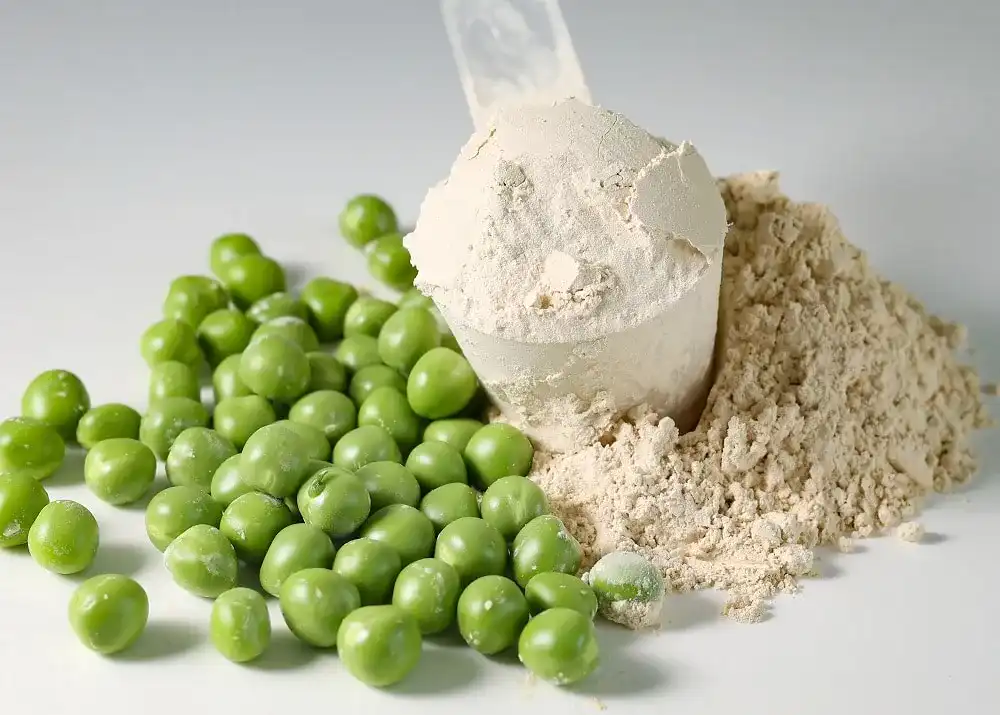 Erbsenprotein Erbsenprotein