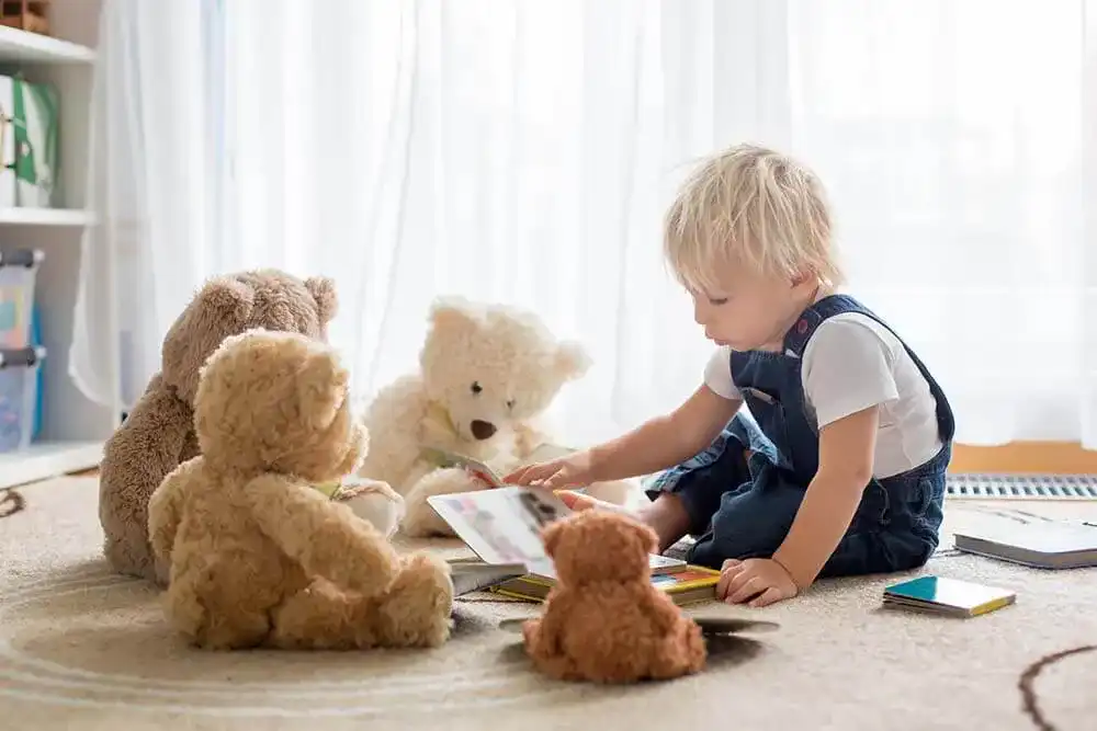 Teddy