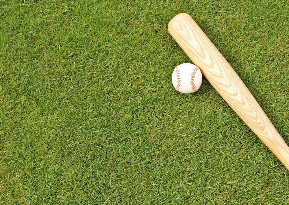 Baseballschlaeger Baseballschlaeger